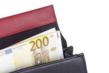 Euro para banknot ile çanta