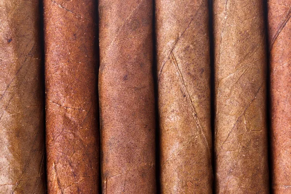 Chocolate Cigars in Row — Stock Photo, Image