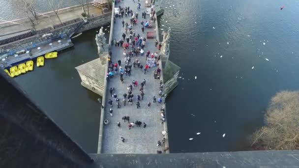 Liggande vy från Karlsbron i Prag — Stockvideo