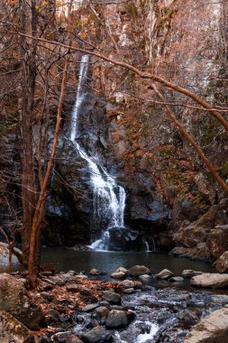 Sonbaharda akış Şelalesi