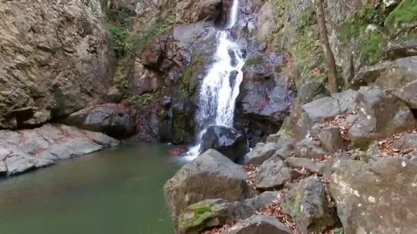 Strömender Wasserfall im Herbst — Stockvideo