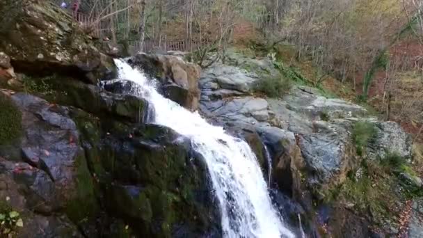 Strömmande vattenfall i höst — Stockvideo
