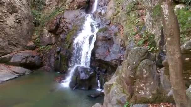 Потоковый водопад осенью — стоковое видео