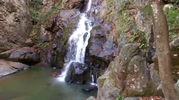 Cascada de transmisión en otoño — Vídeo de stock