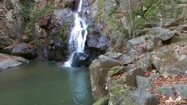 Cascada de transmisión en otoño — Vídeo de stock