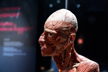 Amsterdam Body dünya