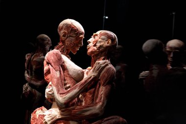 Body Worlds Sergisi