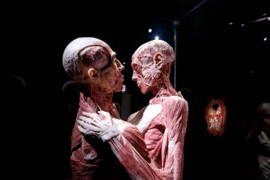 Body Worlds Sergisi