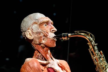 Body Worlds Müzesi