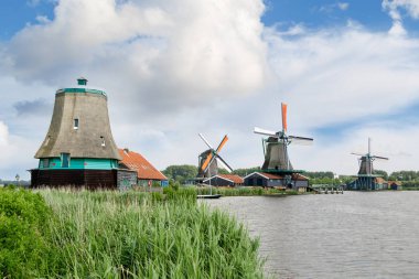 Zaandam ünlü yel değirmenleri