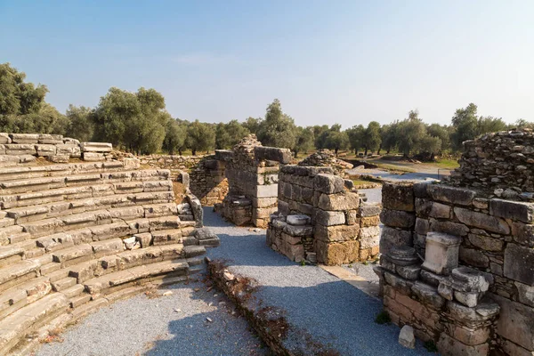 Nysa Ancient City — Stock Photo, Image