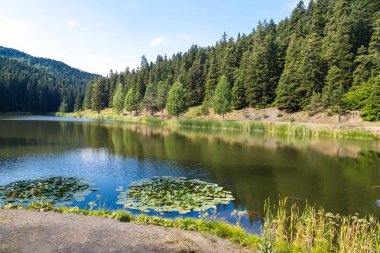 Yansıması ile Akgol Gölü