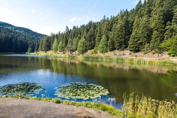 Yansıması ile Akgol Gölü