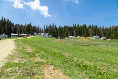 Purenli Yaylası dağ evleri ile