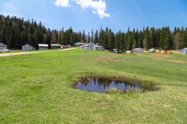 Purenli Yaylası dağ evleri ile