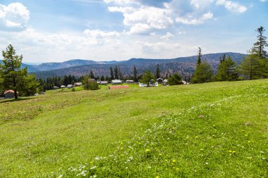 Sakarca Yaylası dağ evleri ile