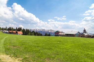 Sakarca Yaylası dağ evleri ile