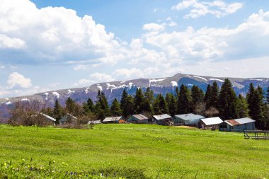 Sakarca Yaylası dağ evleri ile