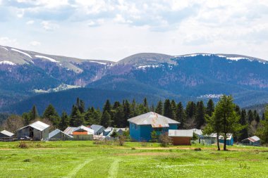 Sakarca Yaylası dağ evleri ile