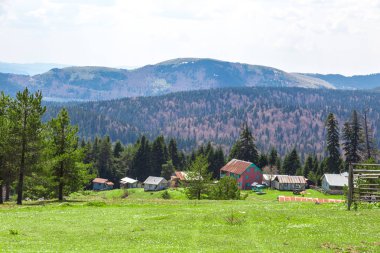 Sakarca Yaylası dağ evleri ile