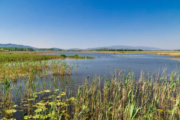 Efteni Gölü yaz gün
