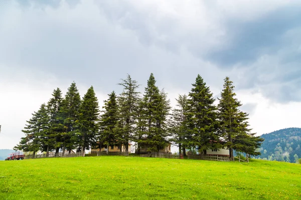 Maison de montagne parmi les grands arbres — Photo