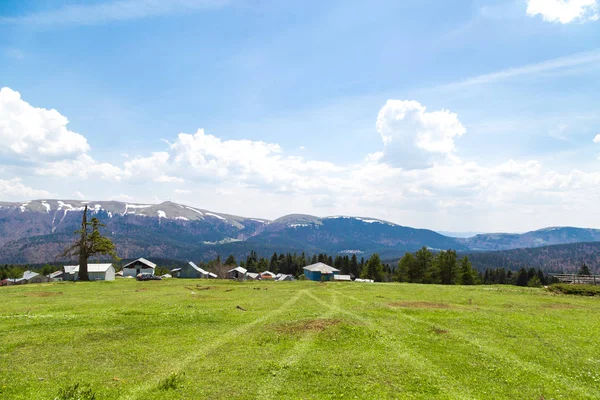 Sakarca Yaylası dağ evleri ile