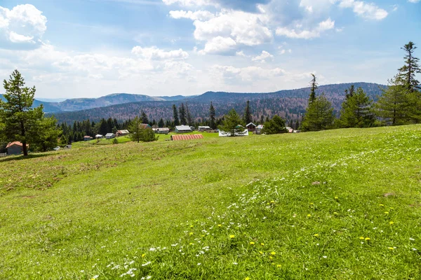 Sakarca Yaylası dağ evleri ile