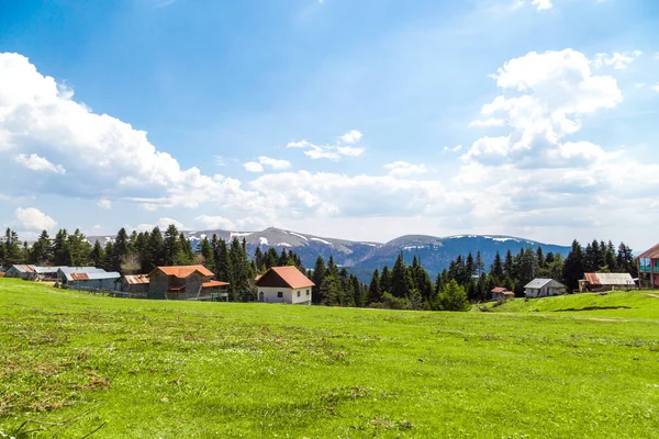Sakarca Yaylası dağ evleri ile