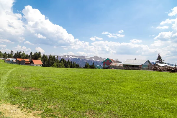 Sakarca Yaylası dağ evleri ile