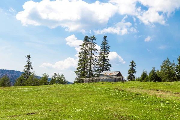 Sakarca Yaylası dağ evleri ile