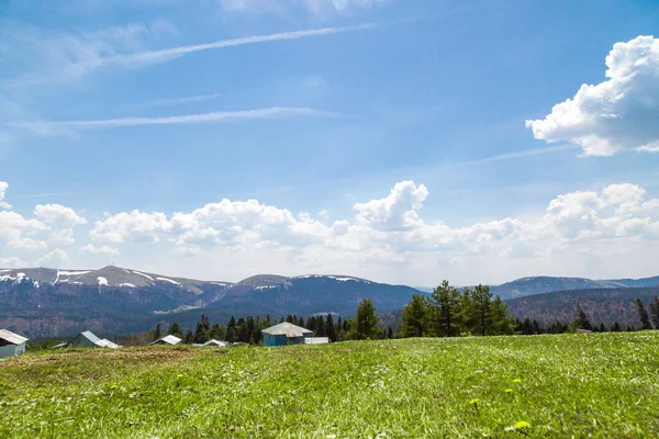 Sakarca Yaylası dağ evleri ile