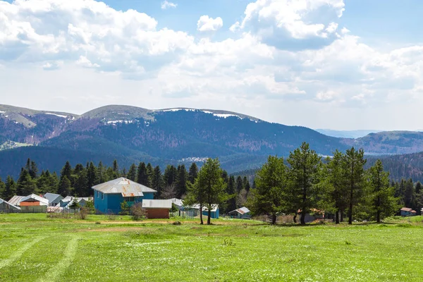 Sakarca Yaylası dağ evleri ile