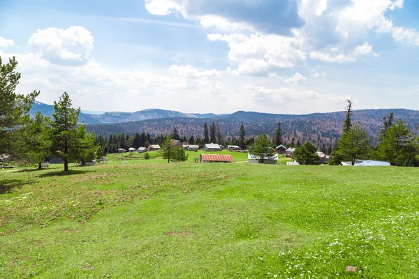 Sakarca Yaylası dağ evleri ile