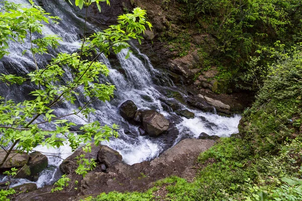 Vandfald Burbling fra klipper i naturpark - Stock-foto