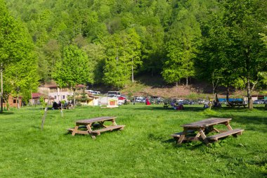 Guzeldere Tabiat Parkı büyük çayır alana sahip