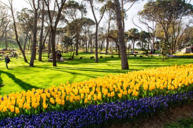 Emirgan Parc bahçelerde Lale