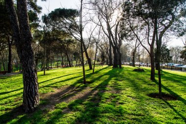 Emirgan Parc bahçelerde Lale
