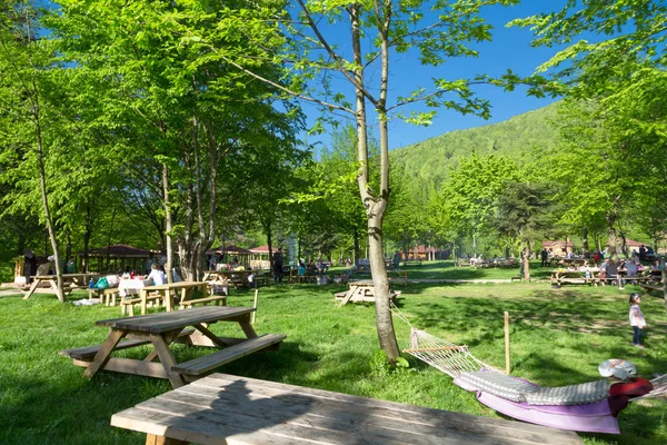 Guzeldere Natural Park med stora äng — Stockfoto