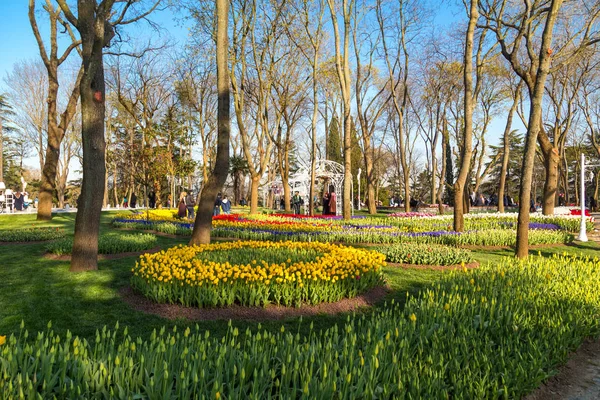 Emirgan Parc bahçelerde Lale