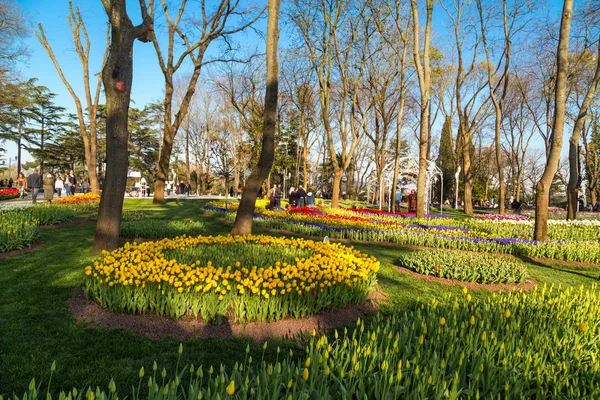 Emirgan Parc bahçelerde Lale — Stok fotoğraf