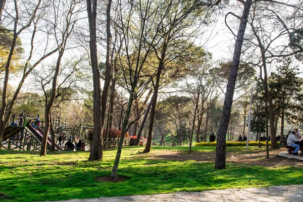 Emirgan Parc bahçelerde Lale — Stok fotoğraf