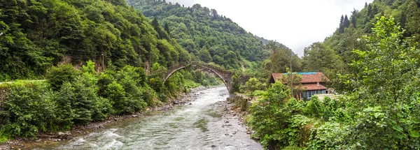 Puente histórico de piedra sobre el río Firtina —  Fotos de Stock