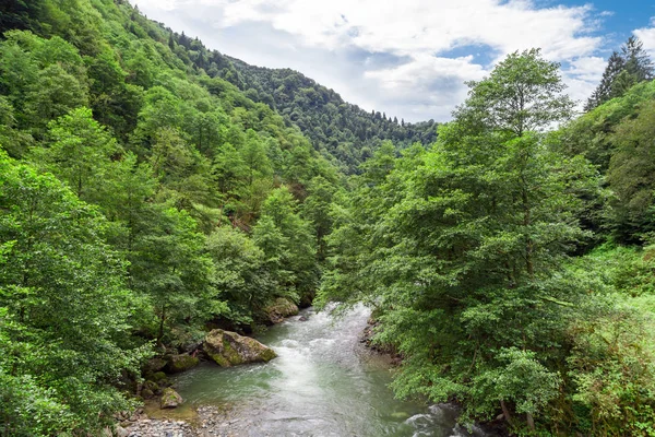 Fluyendo el río Firtina en Rize in Forest —  Fotos de Stock