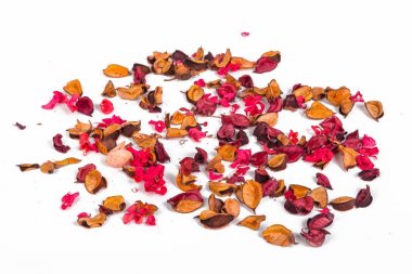 Kuru çiçekler ve yapraklar