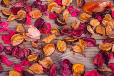 Kuru çiçekler ve yapraklar