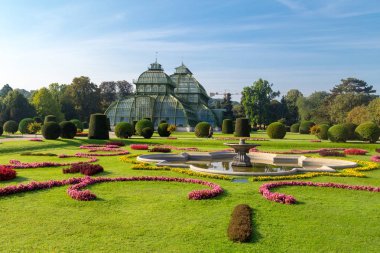 Schonbrunn Sarayı bahçesinde Palm House