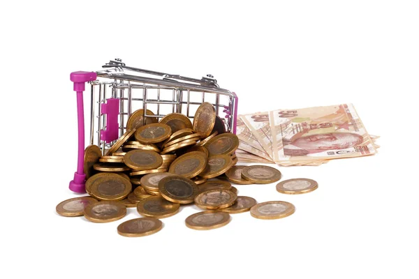 Turkish Lira Banknotes and Coins with Shopping Cart Finance Conc — Stock Photo, Image