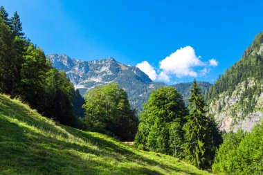 Salzberg görünümünden Alp Dağları