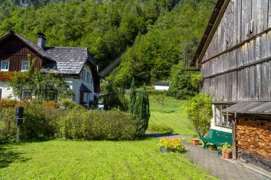 Hallstatt Köyü tarihi dağ evleri ile